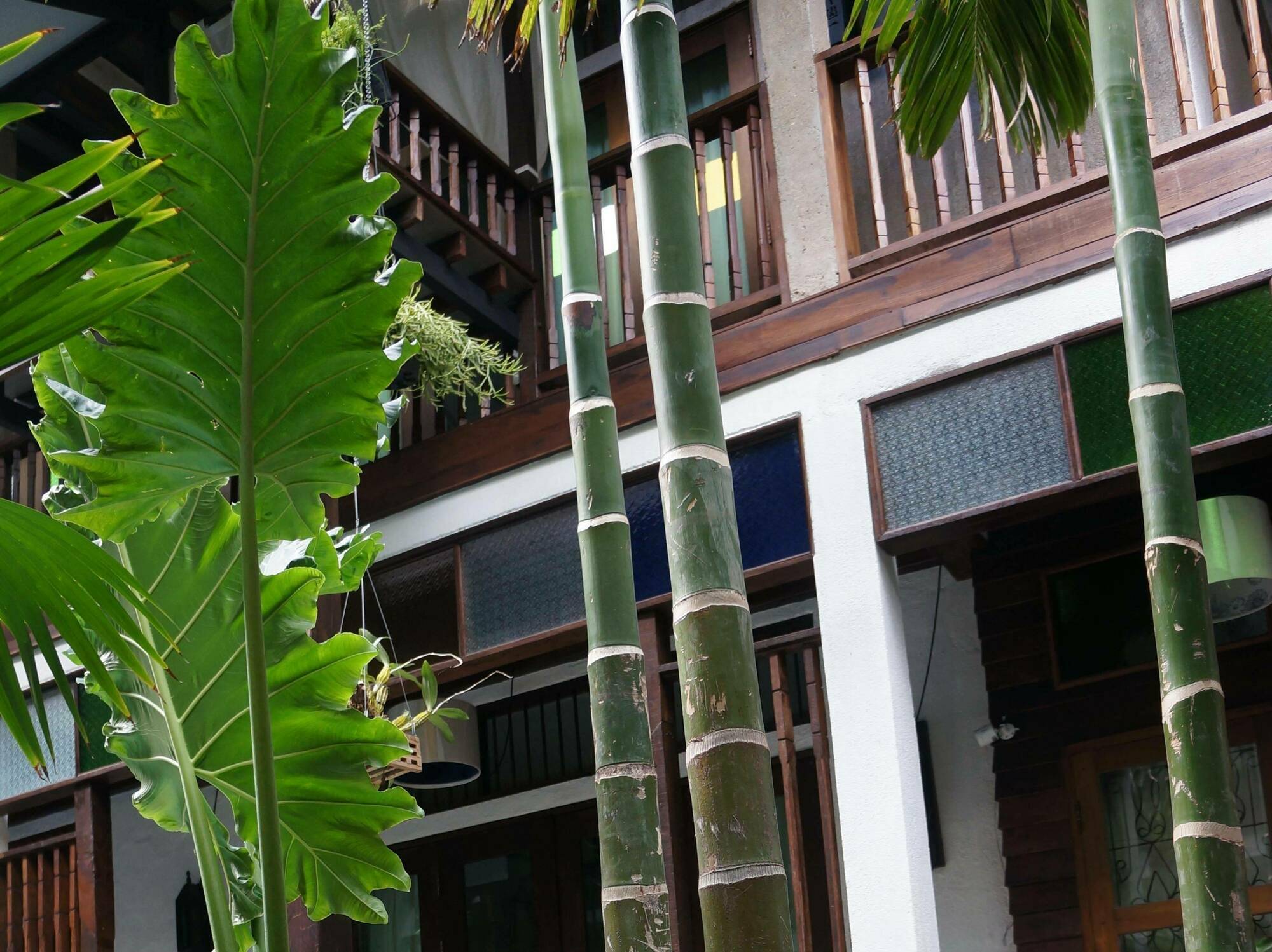 Ban Chang Tong Chiang Mai Exterior photo